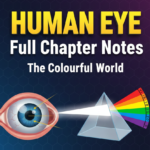 generate a thumbnaio image for CBSE Class X Science Human Eye and the Colourful World Notes