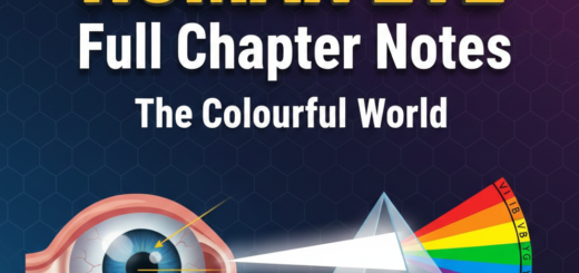 generate a thumbnaio image for CBSE Class X Science Human Eye and the Colourful World Notes